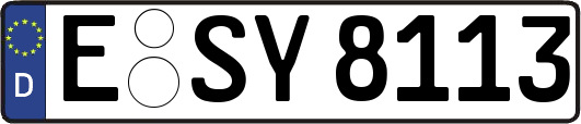 E-SY8113