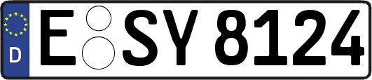 E-SY8124