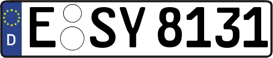 E-SY8131