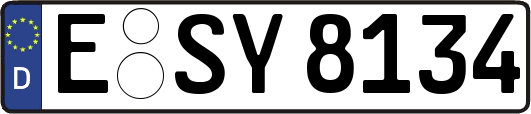 E-SY8134
