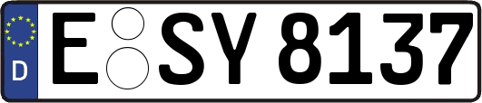 E-SY8137