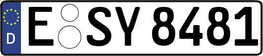 E-SY8481