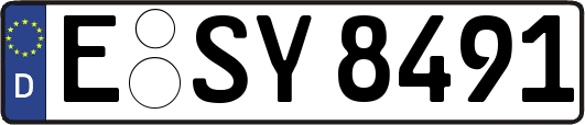 E-SY8491