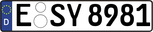 E-SY8981
