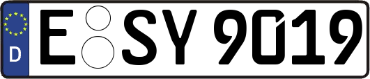 E-SY9019