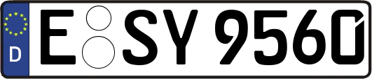 E-SY9560