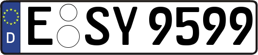 E-SY9599