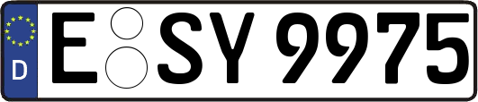 E-SY9975