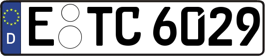 E-TC6029