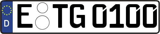 E-TG0100