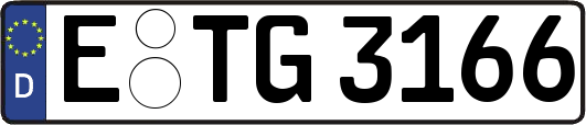 E-TG3166