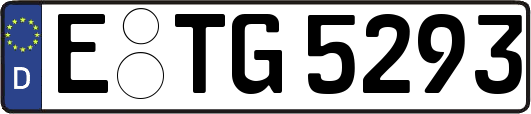 E-TG5293