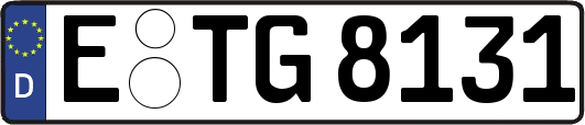 E-TG8131