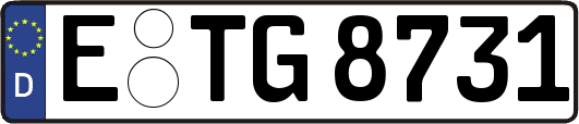 E-TG8731