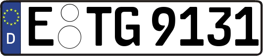 E-TG9131