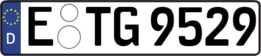 E-TG9529