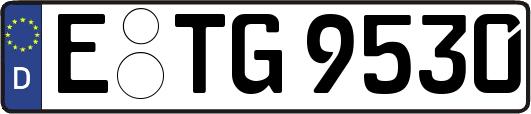 E-TG9530