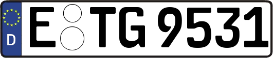 E-TG9531