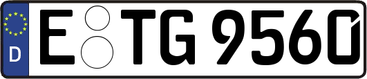 E-TG9560
