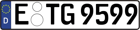 E-TG9599