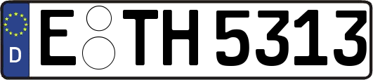 E-TH5313