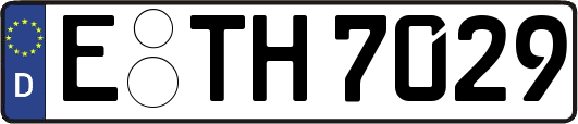 E-TH7029