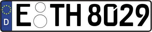 E-TH8029