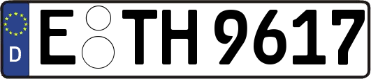 E-TH9617