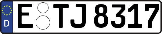 E-TJ8317