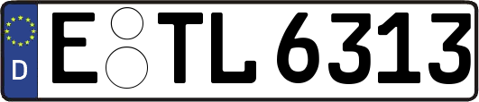 E-TL6313