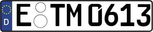 E-TM0613