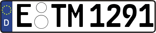 E-TM1291
