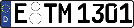 E-TM1301
