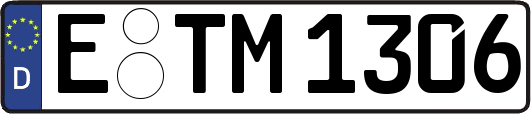E-TM1306