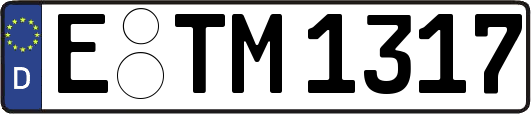 E-TM1317