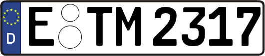 E-TM2317