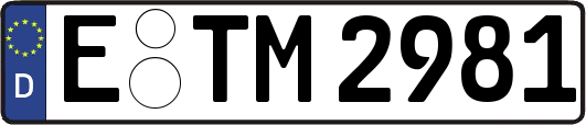E-TM2981