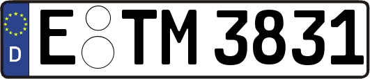 E-TM3831