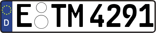 E-TM4291