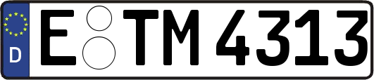 E-TM4313