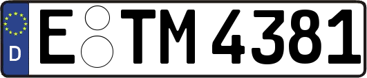 E-TM4381