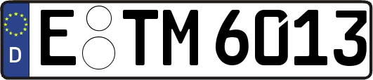 E-TM6013