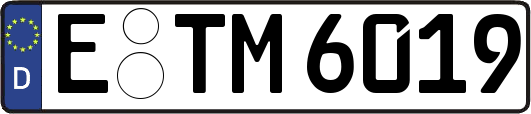 E-TM6019