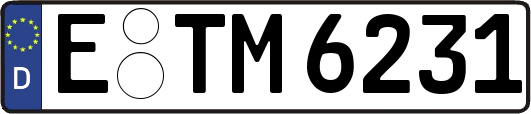 E-TM6231