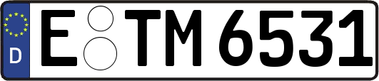 E-TM6531