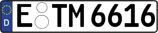 E-TM6616