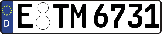E-TM6731