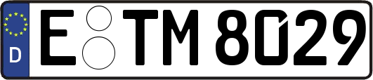 E-TM8029
