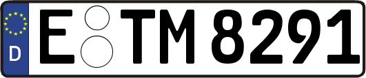 E-TM8291