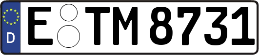E-TM8731